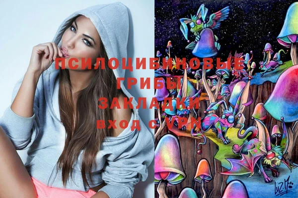 мет Аркадак