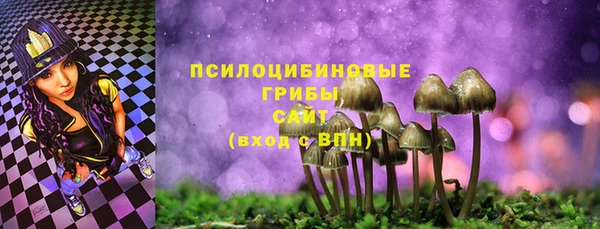 мет Аркадак