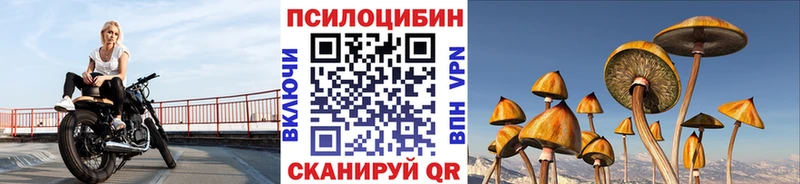 Псилоцибиновые грибы Psilocybe  Зима 